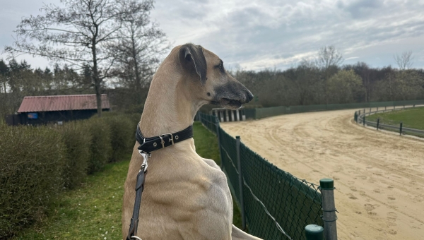 Saisonauftakt beim WRU